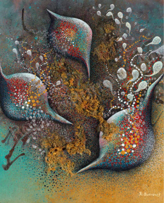 Aqua Somniantis | Water Dreaming | Greeting Card - The Bower Tasmania