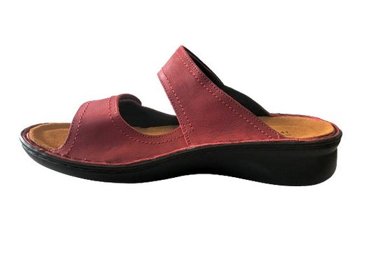 Sitar - The Bower Tasmania